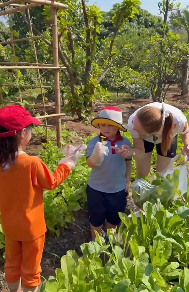 Nông sản hữu cơ bao gồm rau cải, củ cải trắng, rau dền, rau muống, mồng tơi, dưa leo...Ảnh chụp màn hình