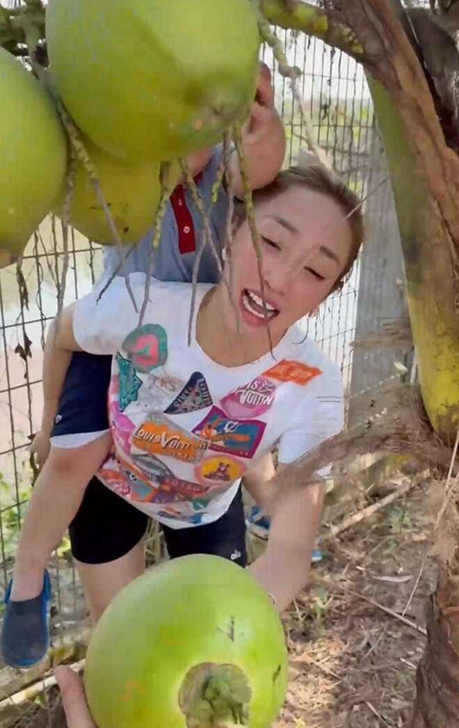 Dừa sai trông thích mắt. Ảnh chụp màn hình