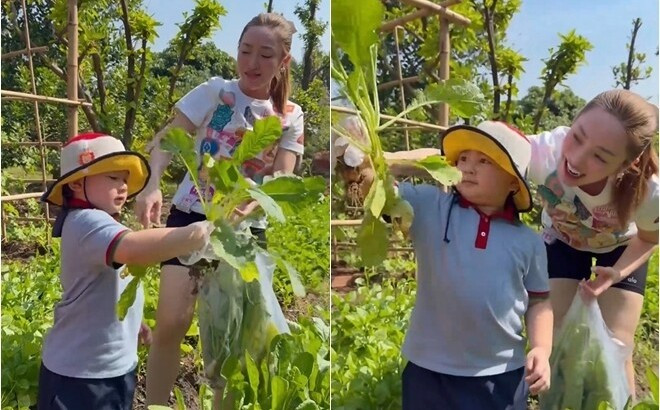 Tận dụng diện tích rộng rãi tại khu vực Thủ Đức (TP HCM), vợ chồng diễn viên Chi Bảo trồng khu vườn với đủ loại rau xanh và cây ăn trái. Ảnh chụp màn hình