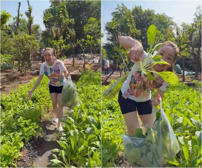 Khu vườn được quy hoạch bài bản với nhiều khu vực trồng các loại rau ngắn ngày đến cây ăn quả lâu năm. Ảnh chụp màn hình