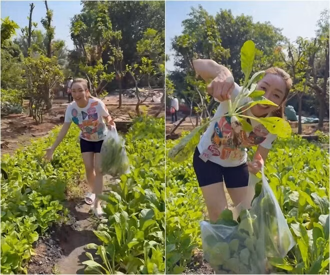 Khu vườn được quy hoạch bài bản với nhiều khu vực trồng các loại rau ngắn ngày đến cây ăn quả lâu năm. Ảnh chụp màn hình