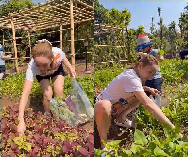 Trong khoảnh khắc mới nhất được chia sẻ, khu vườn của gia đình Chi Bảo khiến người xem trầm trồ bởi sự đa dạng của các loại nông sản. Ảnh chụp màn hình