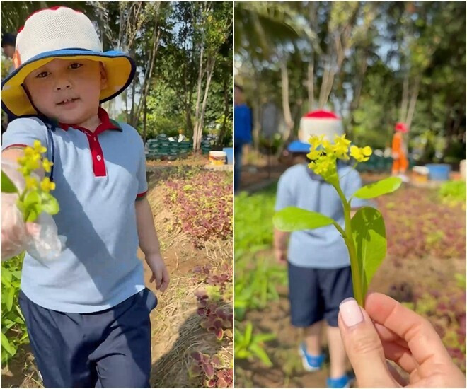 Con trai Chi Bảo chia sẻ khoảnh khắc cậu con trai hăng hái khám phá khu vườn. Ảnh chụp màn hình