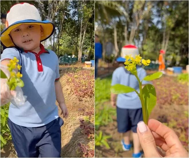 Con trai Chi Bảo chia sẻ khoảnh khắc cậu con trai hăng hái khám phá khu vườn. Ảnh chụp màn hình