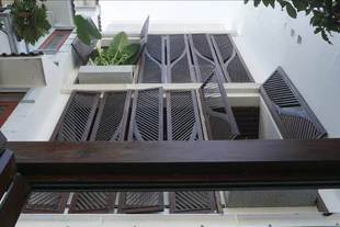 Ngôi nhà độc đáo lấy cảm hứng từ lá dừa