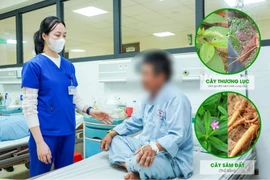 Ăn sâm đất bổ dưỡng, người đàn ông ngộ độc vì nhầm củ thương lục