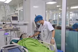 Liên tiếp ca sốc nhiệt nguy kịch, suy đa tạng vì lao động dưới nắng gắt
