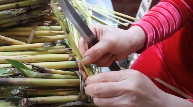 Dac san Tay Bac nhieu nguoi giat minh nhung giau dinh duong-Hinh-2