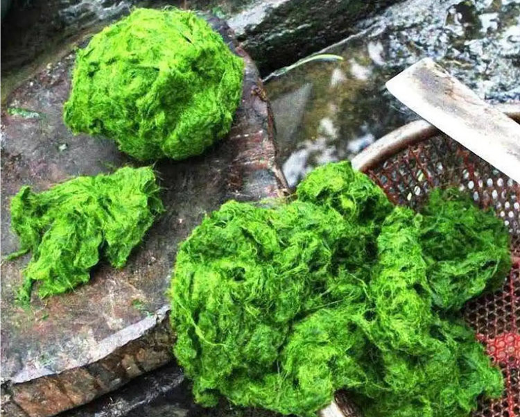 Top dac san Dien Bien ngon nuc tieng, nghe da muon thu-Hinh-4