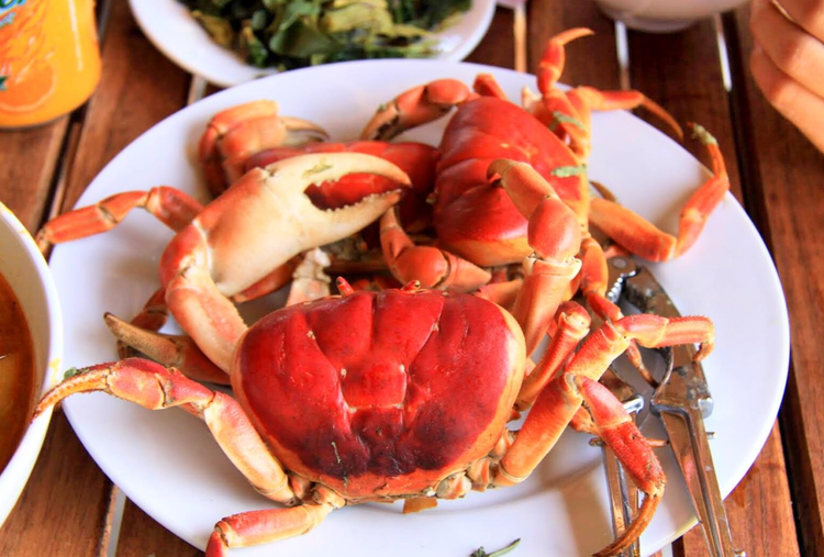 Nhung dac san ngon nuc tieng o dao Ly Son-Hinh-3