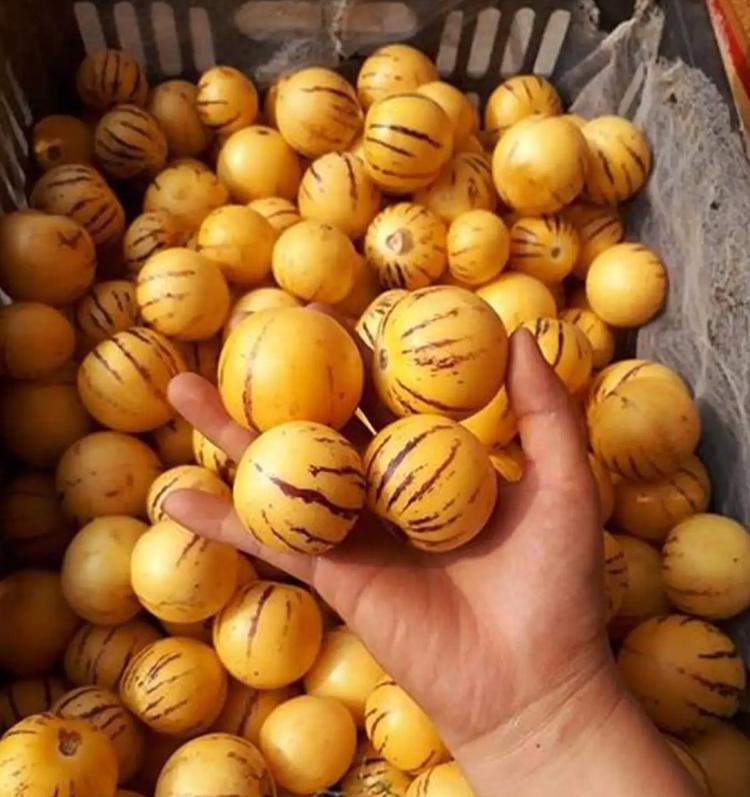 Kham pha nhung dac san nuc tieng cua Tam Dao-Hinh-11