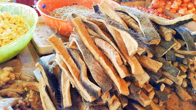 Da trau thoi - dac san cua dong bao Tay Bac co gi dac biet?