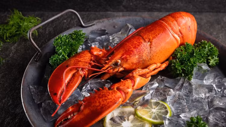 Kham pha thien duong am thuc Cat Ba voi nhung dac san nuc tieng-Hinh-6