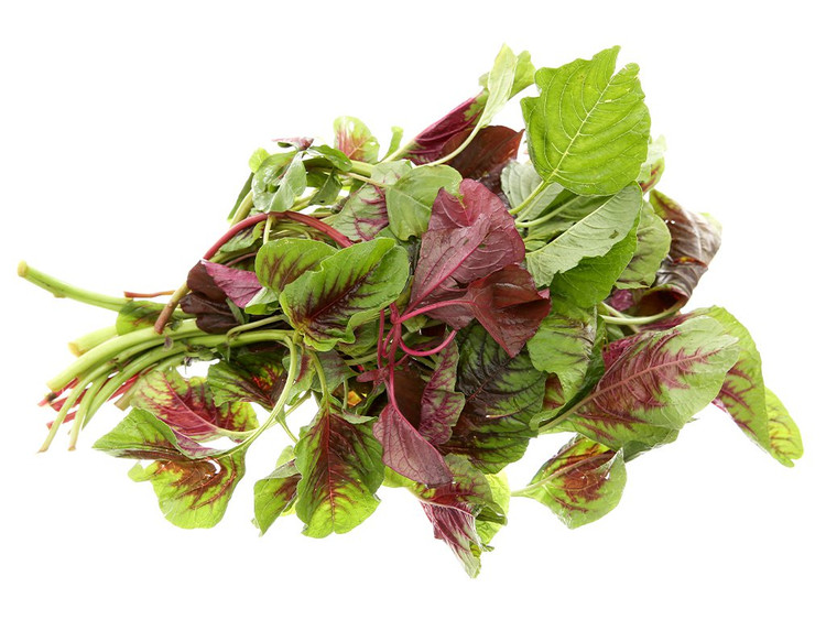 Loai rau tot hon thit, re beo ngoai cho, khong phai ai cung biet