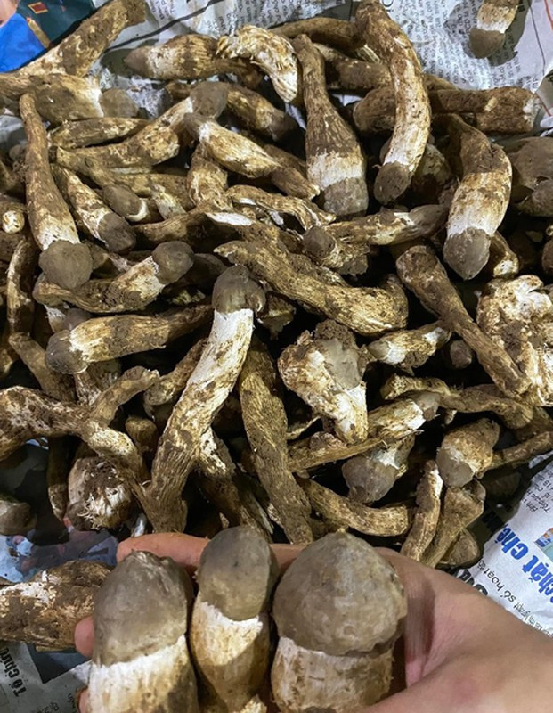 Dac san “loc troi” cuc dat do, chi xuat hien vao mua mua-Hinh-2