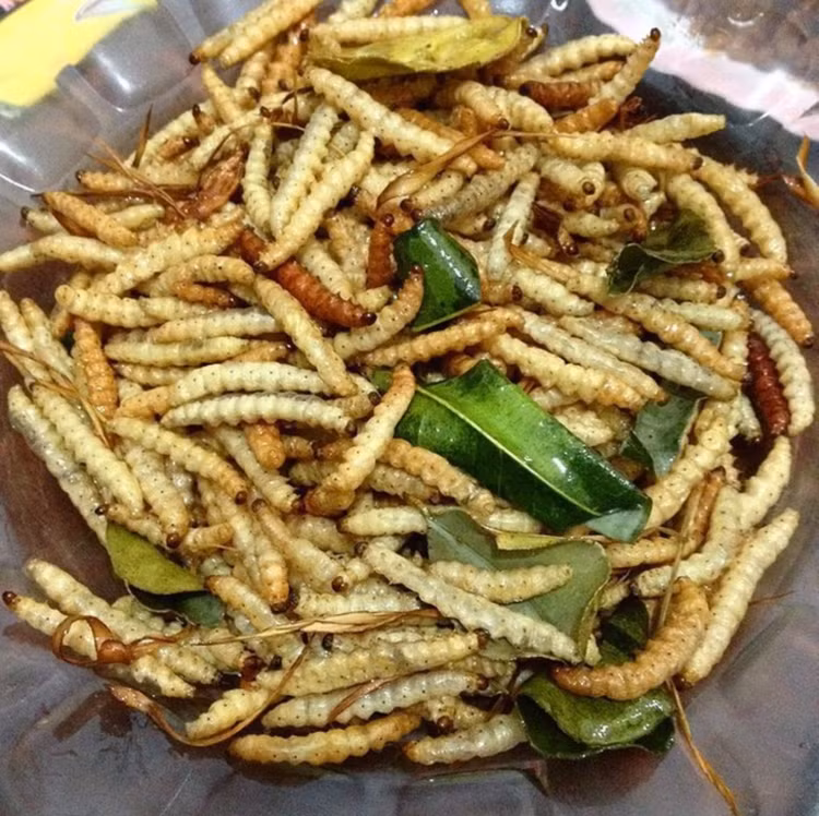 Hai hung nhung dac san lam tu sau, khong phai ai cung dam thu-Hinh-2