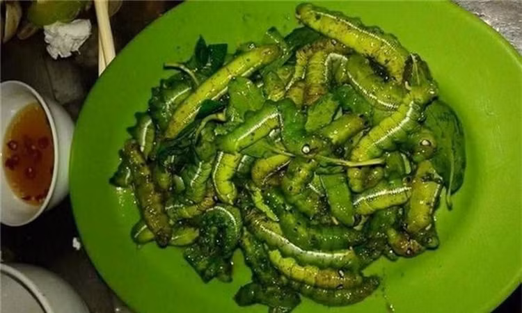 Hai hung nhung dac san lam tu sau, khong phai ai cung dam thu-Hinh-11