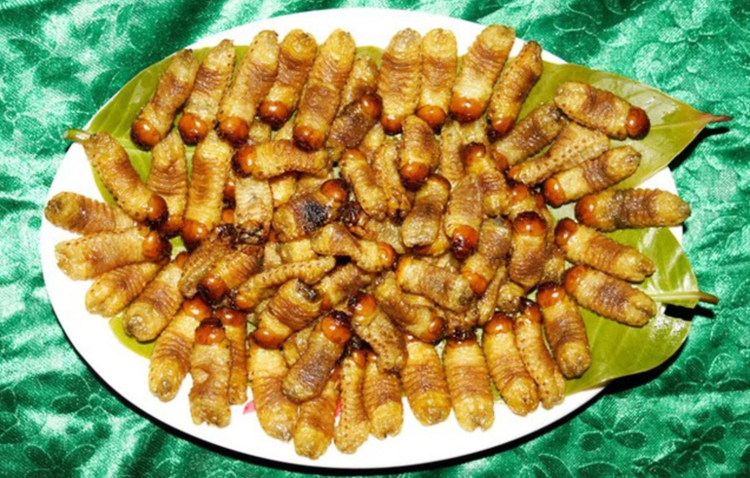 Hai hung nhung dac san lam tu sau, khong phai ai cung dam thu-Hinh-7