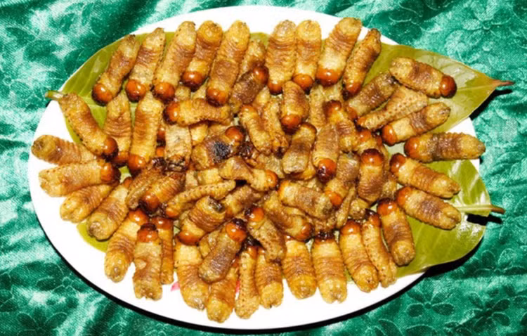 Hai hung nhung dac san lam tu sau, khong phai ai cung dam thu-Hinh-7