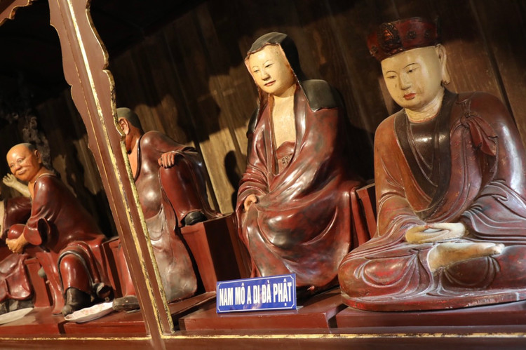 Ngoi chua luu giu bon nhom bao vat quoc gia cua Viet Nam-Hinh-8