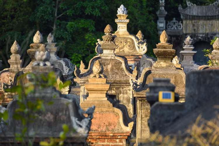 Tham vuon thap co dep va lon nhat Viet Nam tai chua Bo Da-Hinh-12