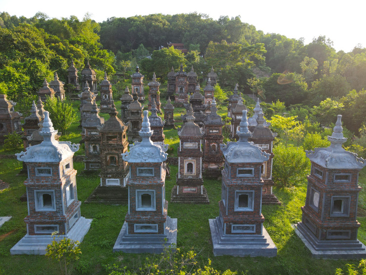 Tham vuon thap co dep va lon nhat Viet Nam tai chua Bo Da-Hinh-8