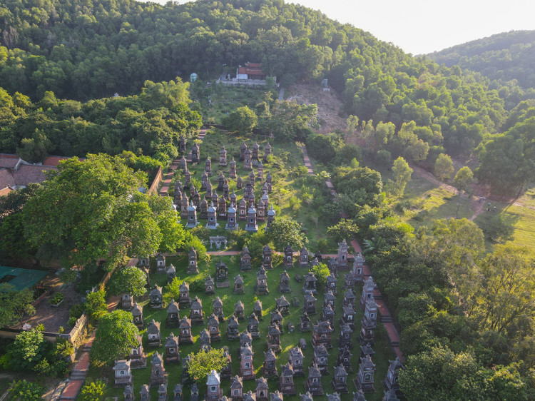 Tham vuon thap co dep va lon nhat Viet Nam tai chua Bo Da-Hinh-13