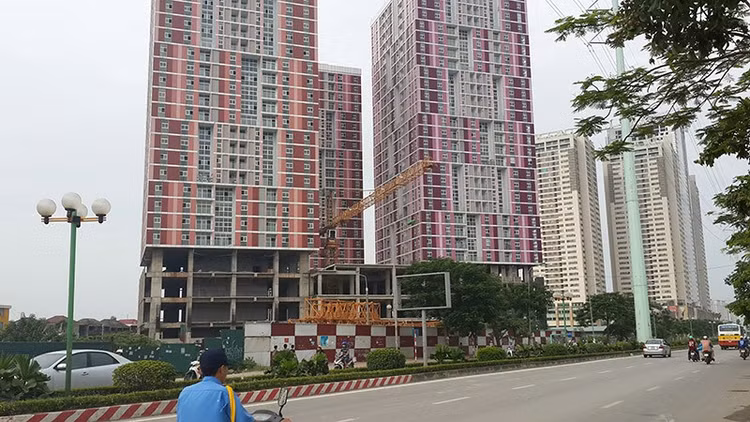 Gia chung cu tang phi ma, nguoi dan nen lam gi?