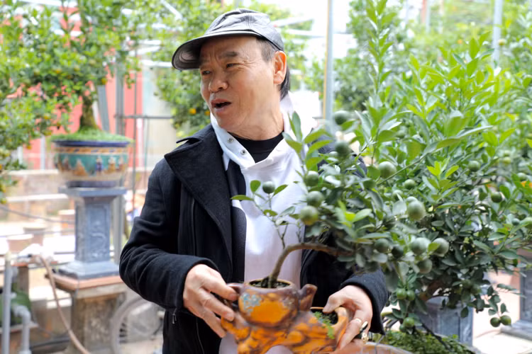 Quat canh Tu Lien nao nuc mot mua boi thu-Hinh-9