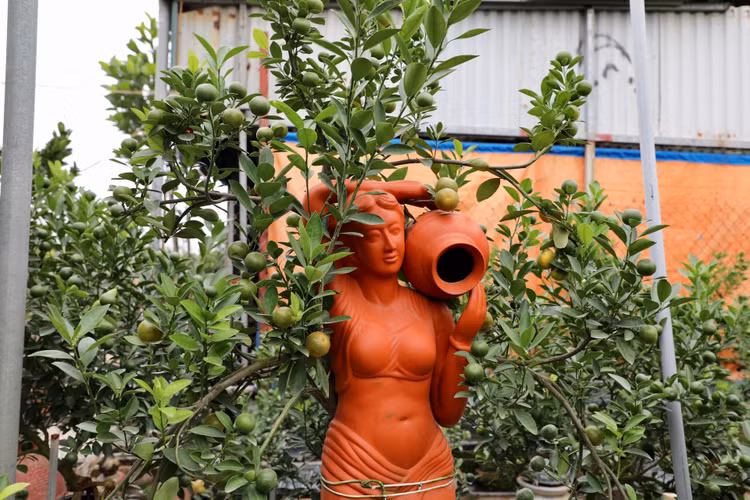 Quat canh Tu Lien nao nuc mot mua boi thu-Hinh-8