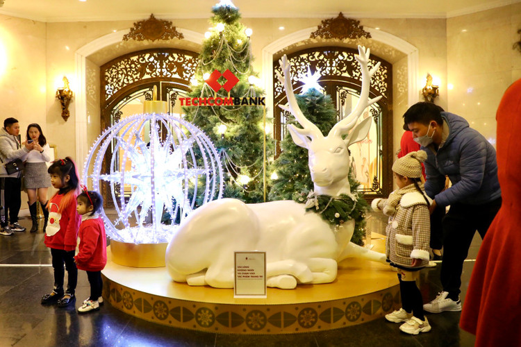 Ha Noi ruc ro truoc them Giang sinh-Hinh-12