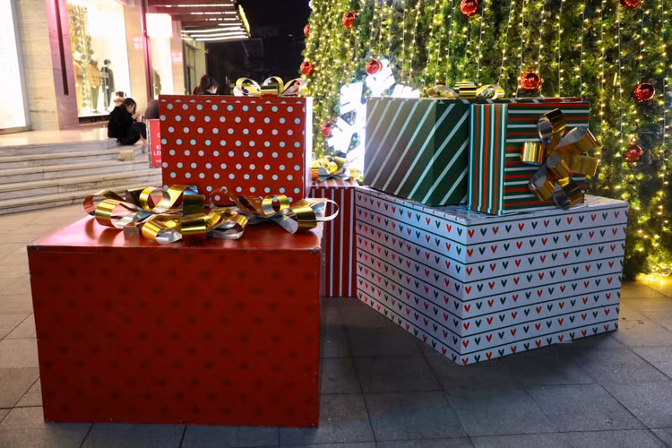 Ha Noi ruc ro truoc them Giang sinh-Hinh-10