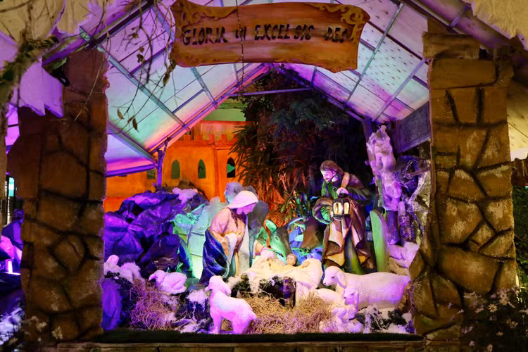 Ha Noi ruc ro truoc them Giang sinh-Hinh-7