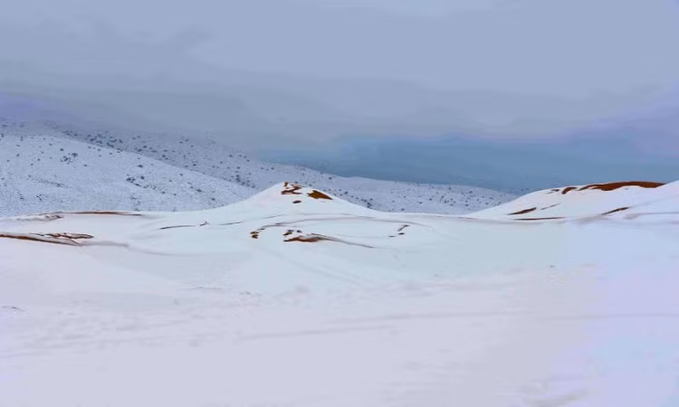 Kinh ngac sa mac Sahara chim duoi lop tuyet day 1 m-Hinh-6