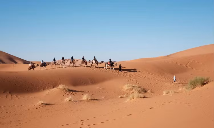 5 sa mac lon nhat the gioi: Co ca... mua dang tuyet va suong-Hinh-6