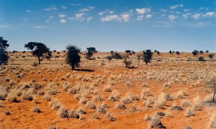 5 sa mac lon nhat the gioi: Co ca... mua dang tuyet va suong-Hinh-9