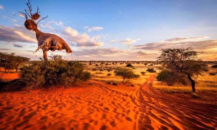 5 sa mac lon nhat the gioi: Co ca... mua dang tuyet va suong-Hinh-10