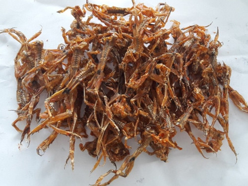 Doc la dac san “vu nu chan dai” ngon nuc tieng