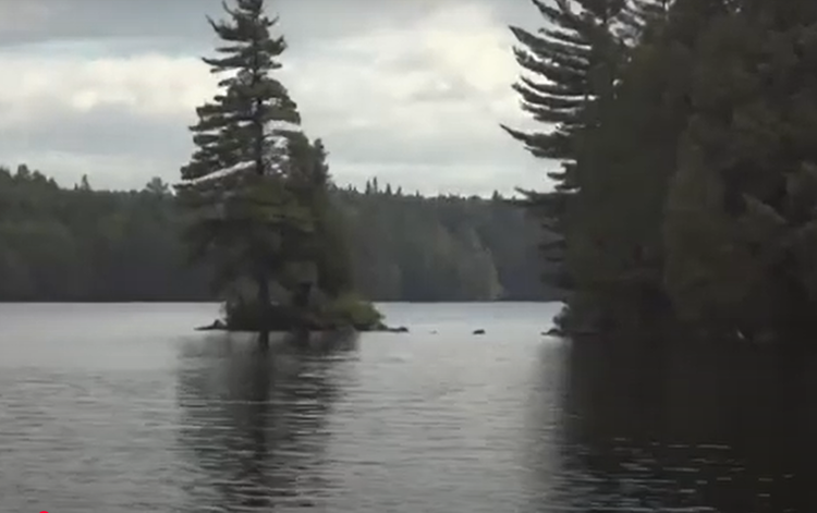 Huyen thoai son da ga chi co o Canada, ai nghe xong cung mat ngu