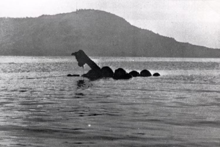 Huyen thoai son da ga chi co o Canada, ai nghe xong cung mat ngu-Hinh-9