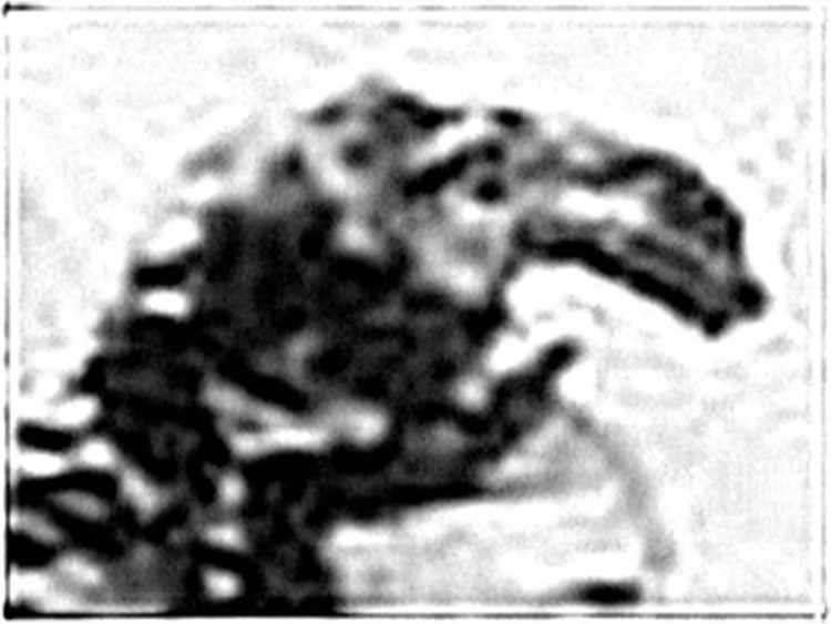 Huyen thoai son da ga chi co o Canada, ai nghe xong cung mat ngu-Hinh-11