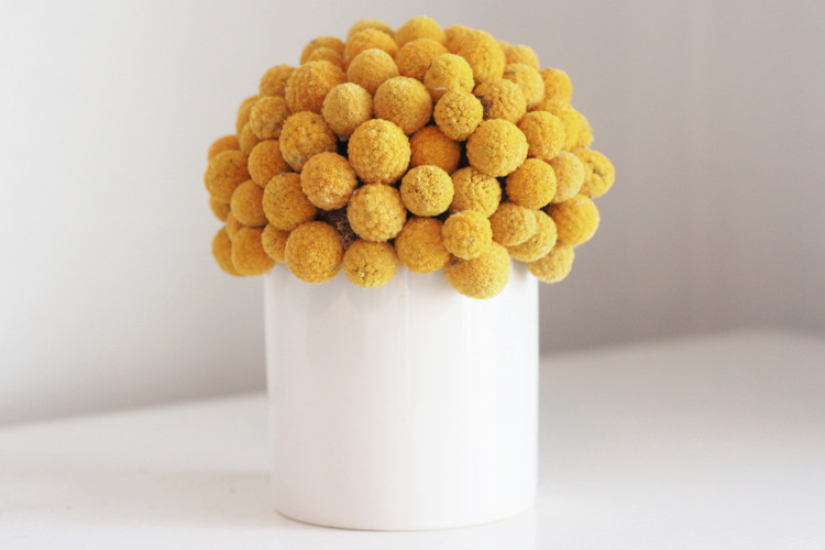 Quy Mao 2023: Sinh con thang nao tuong lai sang choi, thanh dat vang danh?-Hinh-6