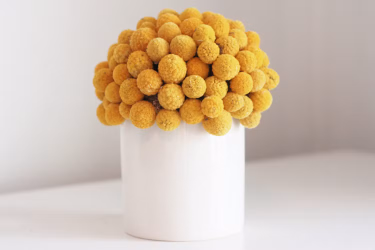 Quy Mao 2023: Sinh con thang nao tuong lai sang choi, thanh dat vang danh?-Hinh-6