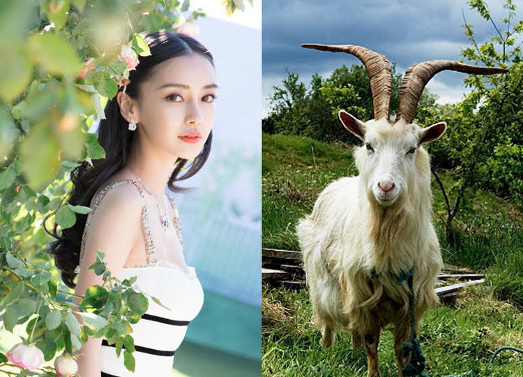 Du doan tuan moi (8/5 - 14/5/2023) cho 12 con giap: Mao Mui Ngo gap may-Hinh-8