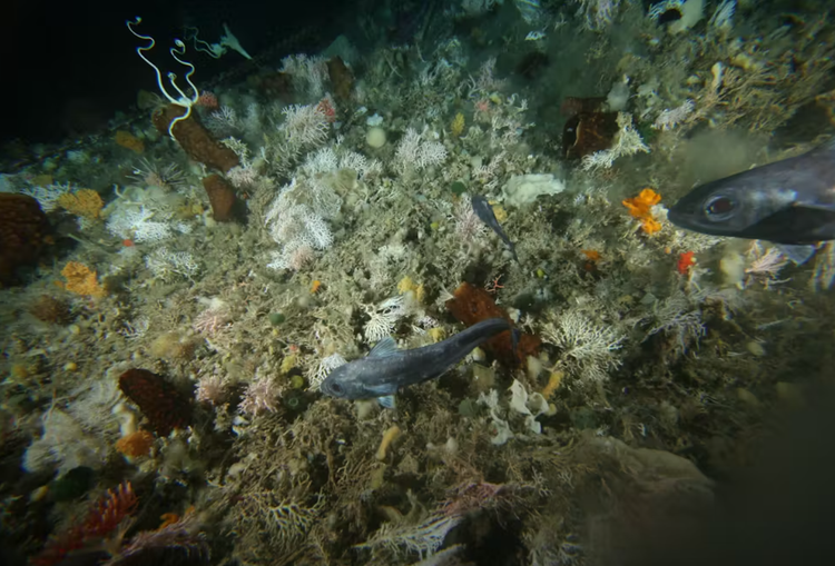 Tang bang troi khong lo tach ra, 