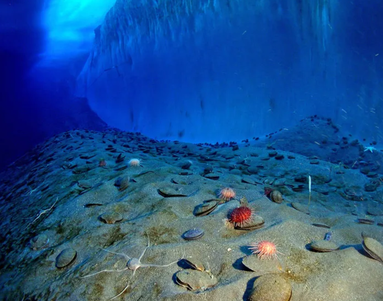 Tang bang troi khong lo tach ra, 