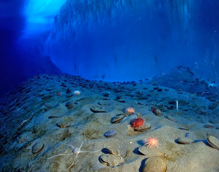 Tang bang troi khong lo tach ra, 