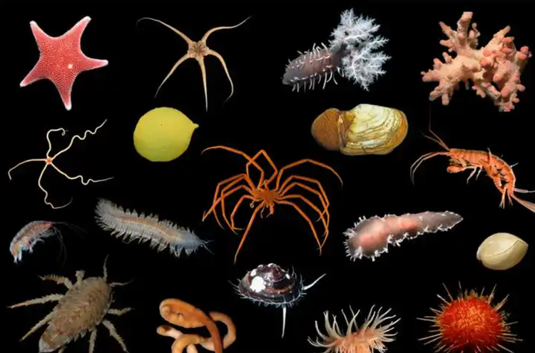 Tang bang troi khong lo tach ra, 