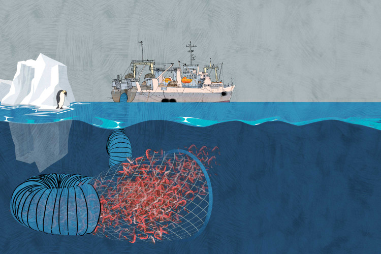 Tang bang troi khong lo tach ra, 