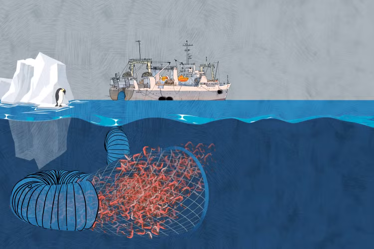 Tang bang troi khong lo tach ra, 